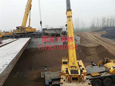 洛陽(yáng)吊車(chē)租賃-案例